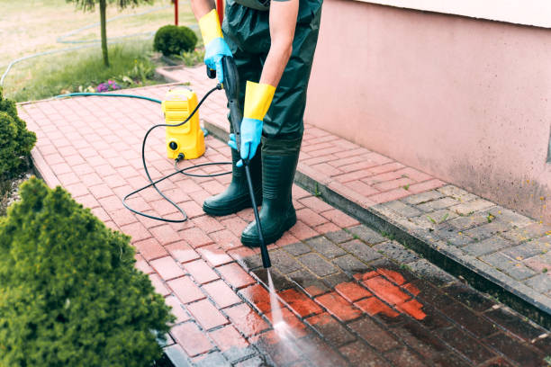 Best Gutter Cleaning  in Mason City, IL